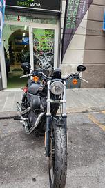 Harley-davidson 883 Sportster XL chopper