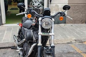 Harley-davidson 883 Sportster XL chopper