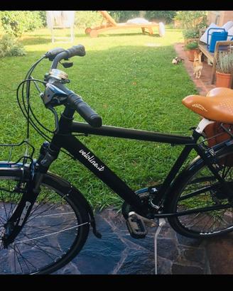 Bicicletta da uomo