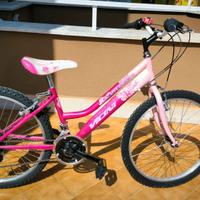 Bicicletta
