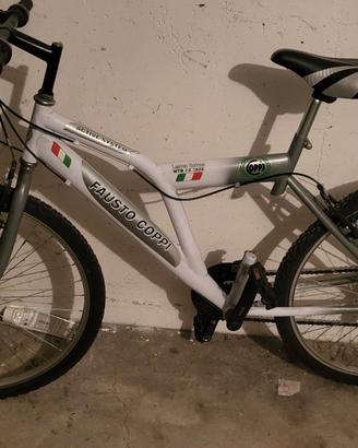 2 Mountain bike