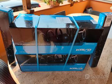 Ammortizzatori anteriori e posteriori