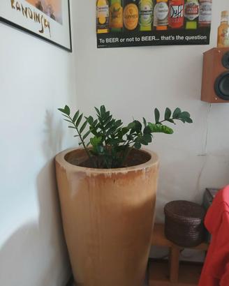 vaso smaltato
