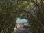 Immagine 26