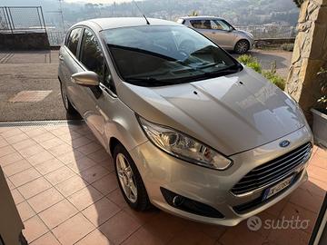 Ford Fiesta neopatentati
