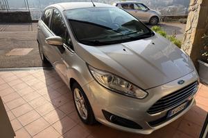Ford Fiesta neopatentati