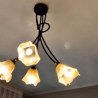 lampadario a 5 bracci