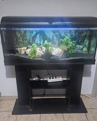 AQUARIO 