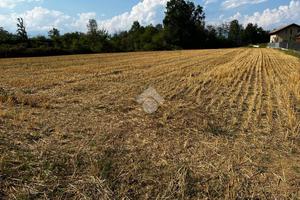 TER. RESIDENZIALE A LOMBARDORE