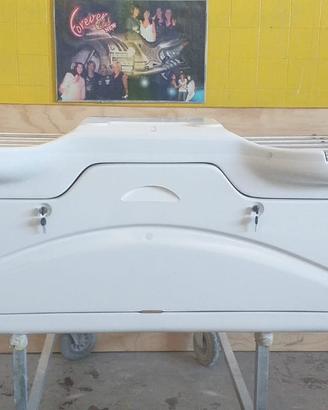 Baule box porta bici