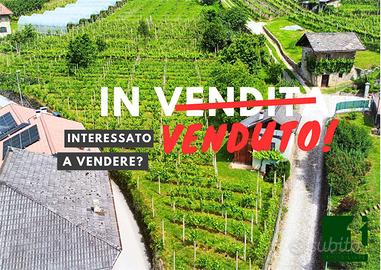 PANORAMICO TERRENO AGRICOLO CON DEPOSITO