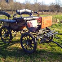 Carrozza pe cerimonie e passeggio