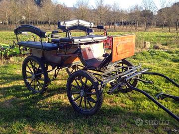 Carrozza pe cerimonie e passeggio
