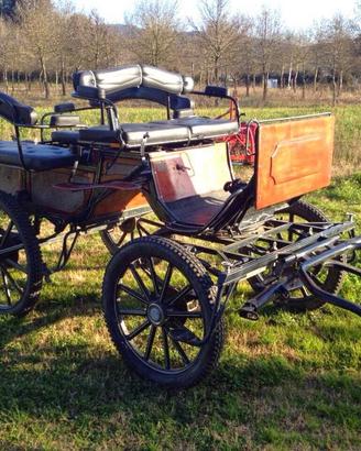 Carrozza pe cerimonie e passeggio