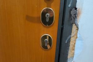 accessori auto per giardiniera motore e cambio più