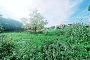 TER. RESIDENZIALE A BELLARIA-IGEA MARINA