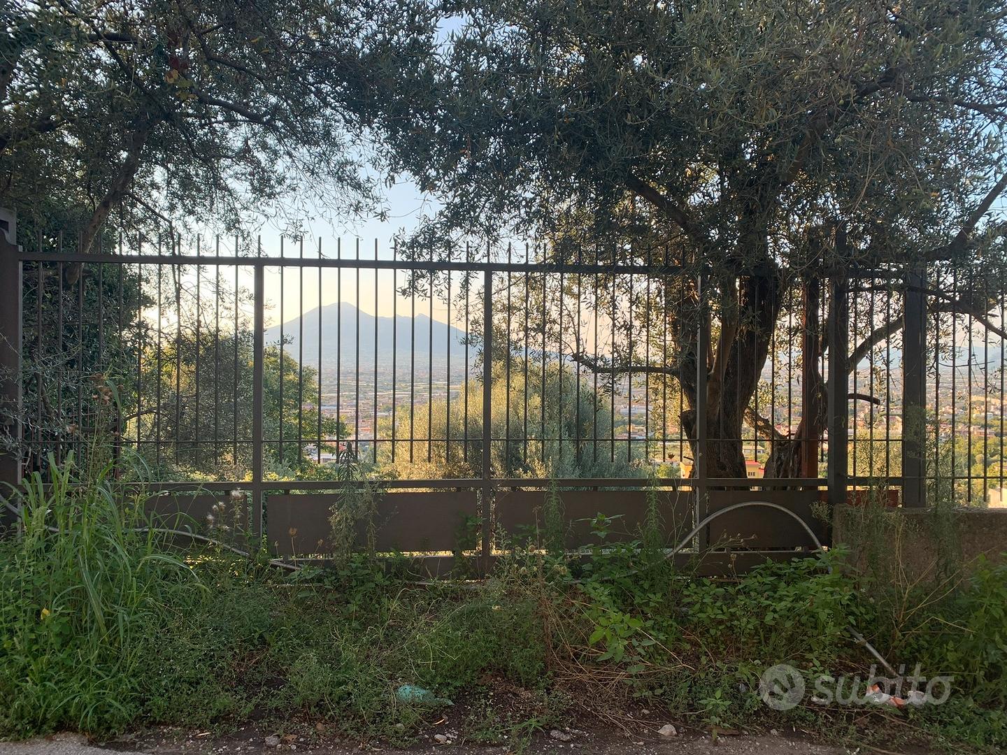 Terreno agricolo - Vista 3