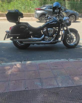 amante del custom 