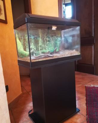 Acquario Askoll Ambiente 60