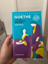 I dolori del giovane Werther