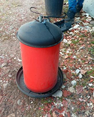 Mangiatoia per galline