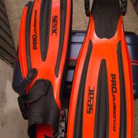 pinne seac pro pulsion taglia s-m cinghiolo ottime