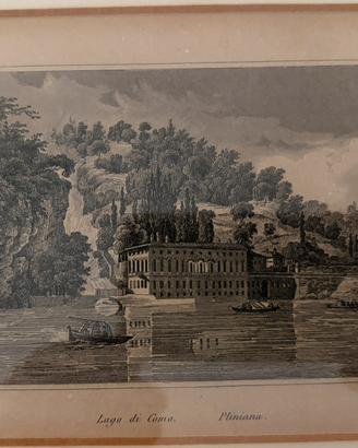 Stampa Antica Ottocento Villa Pliniana,Lago Como