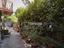Immagine 28