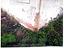 Immagine 25