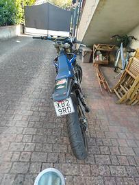 HM 50 (77)