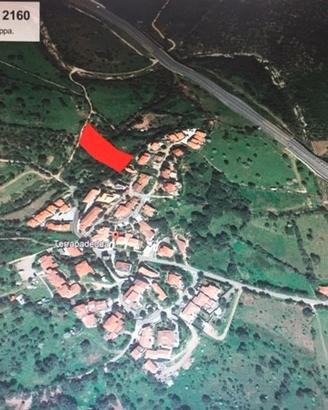 Terreno Agricolo | San Teodoro