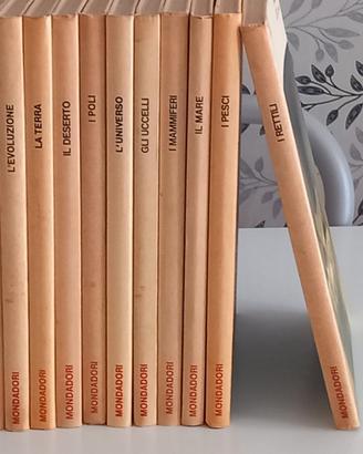 Libri