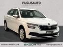 skoda-kamiq-1-0-tsi-110-cv-dsg-ambition
