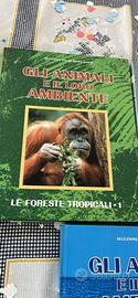 enciclopedia animali