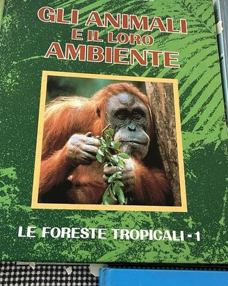 enciclopedia animali