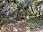 Immagine 28