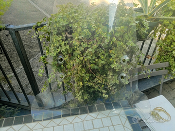 Parabrezza scooter 50/125