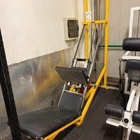 Macchine isotoniche Technogym Lux Line
