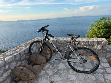 Bicicletta Bianchi