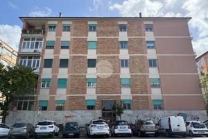 5 LOCALI A ROMA