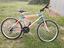 Immagine 2