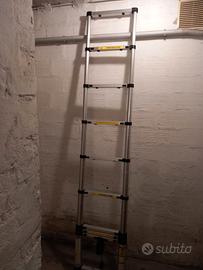 Scala telescopica