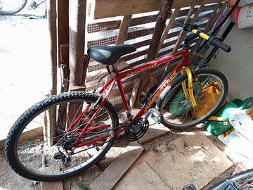 bici vintage e normale