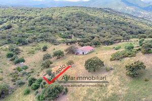 Terreno Agricolo Berchiddeddu