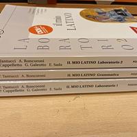 il mio latino 