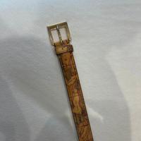 Cintura Alviero Martini