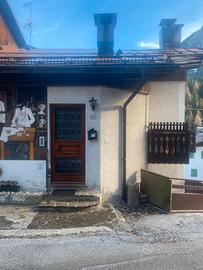 Vendita appartamento