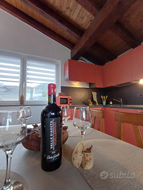 Casa vacanze VILLA MAFFEI AOSTA