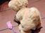 Immagine 4