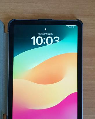 iPad mini 6